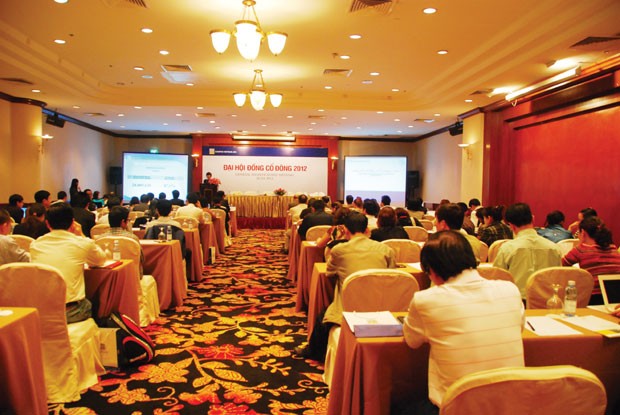 3 vấn đề nóng mùa ĐHCĐ 2013
